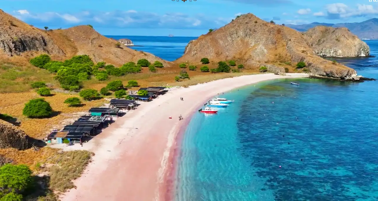 Pariwisata
